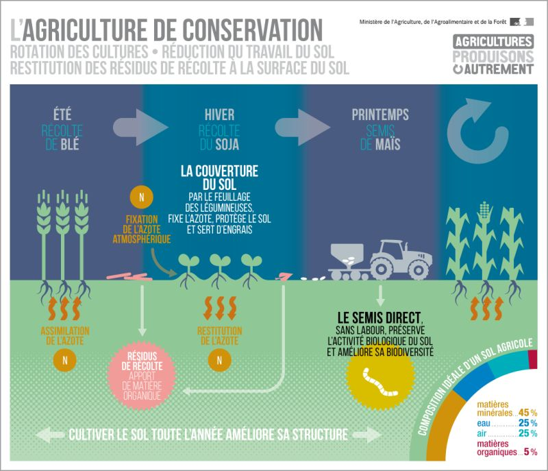 Agriculture_de_conservation
