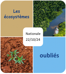 2024_10_Ecosystèmes_oubliés