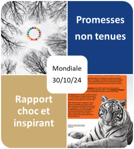 2024_10_Promesses-non-tenues